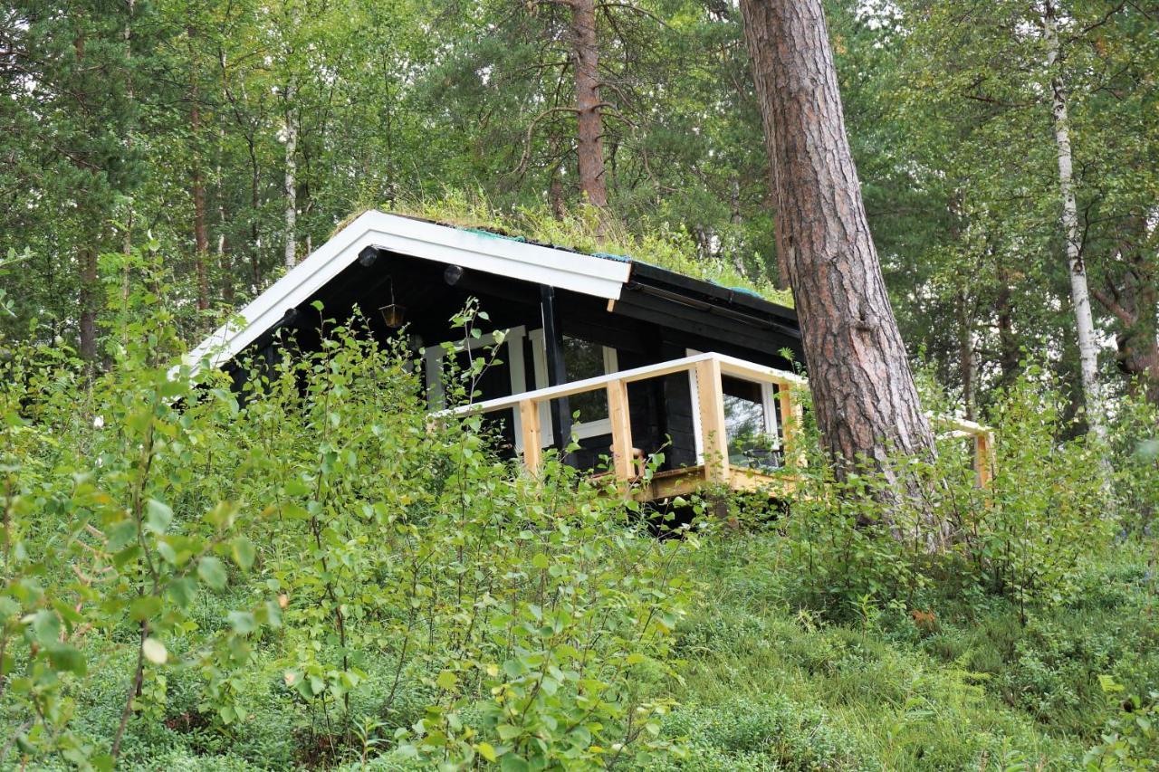 Birk Bed & Birds Bed & Breakfast Svanvik Exterior photo