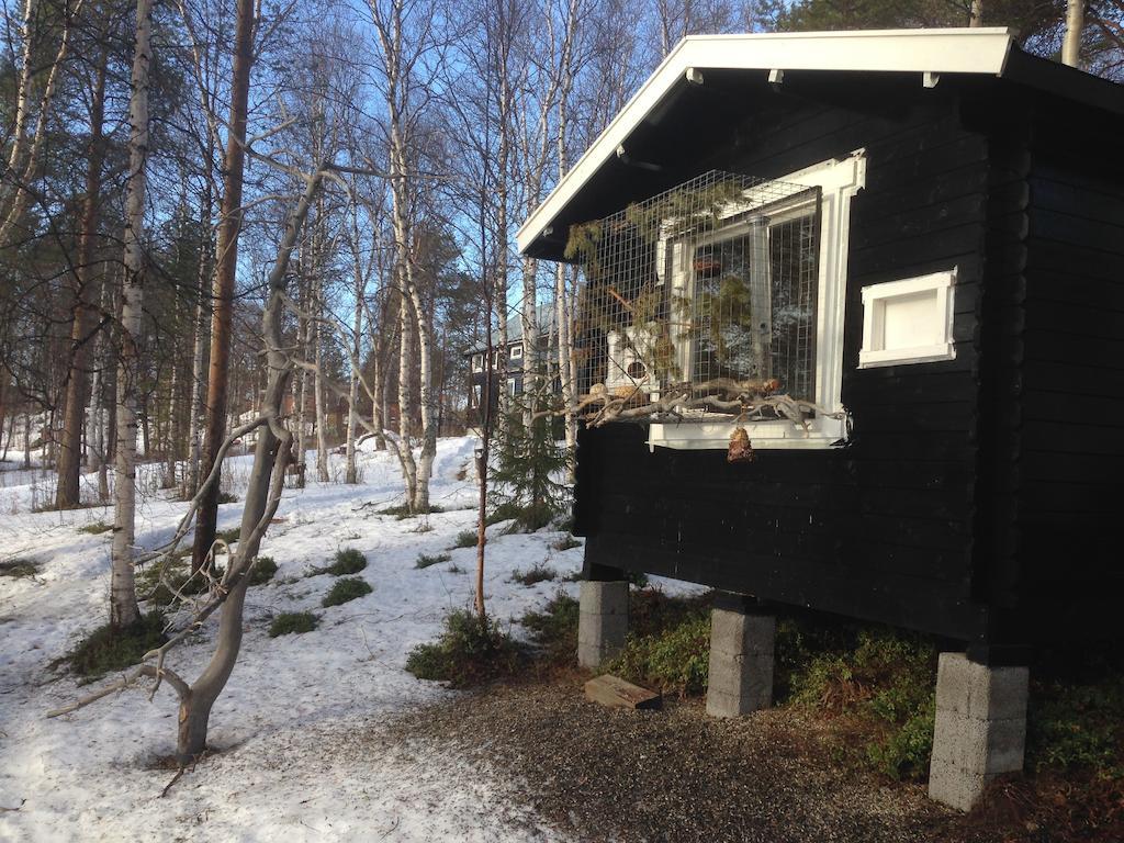 Birk Bed & Birds Bed & Breakfast Svanvik Exterior photo